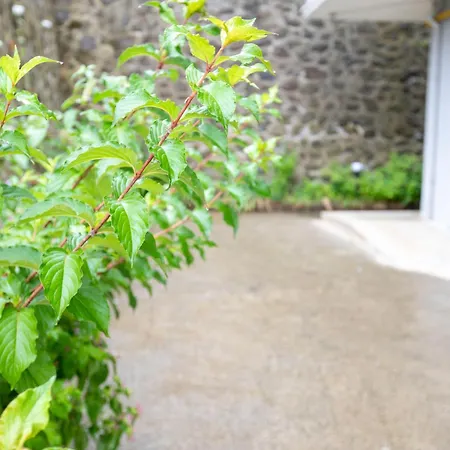 Korkmaz Apart Apartment Trabzon
